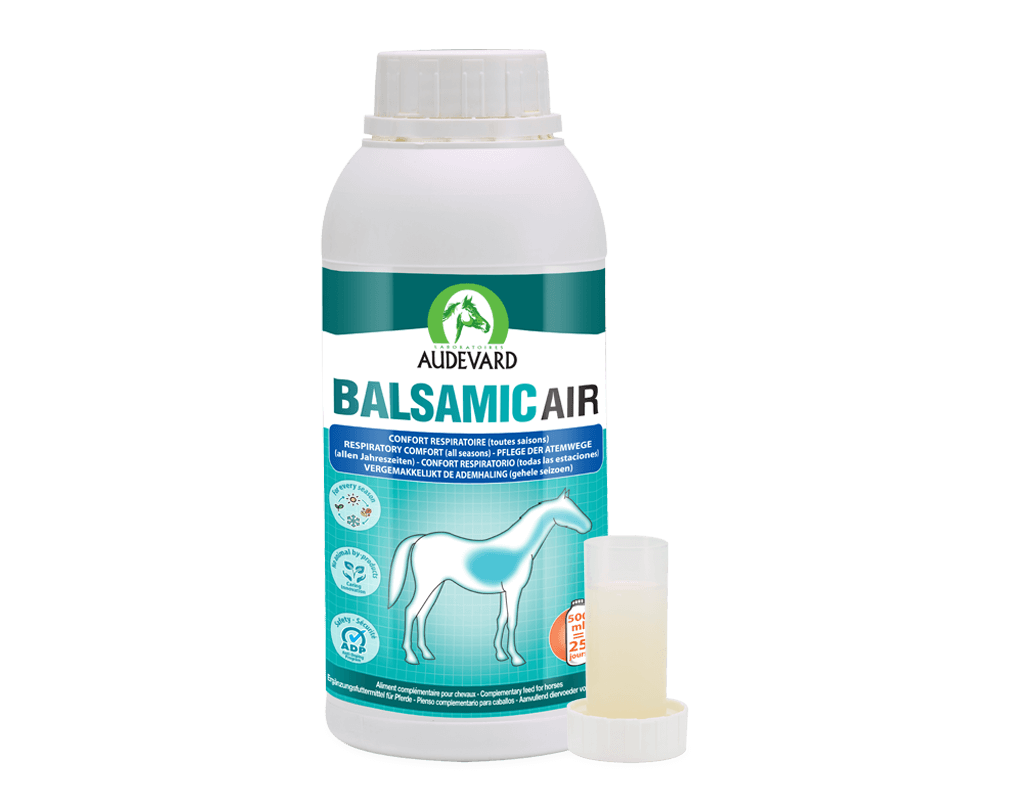 Akční balíček Balsamic Air 1L + Balsamic Control 1kg