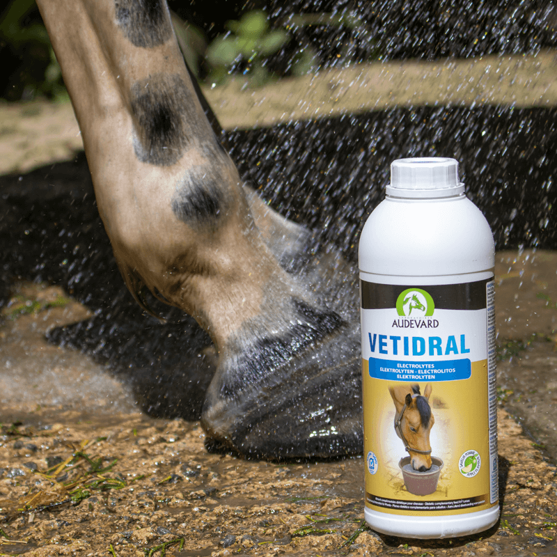 VETIDRAL SOLUTION