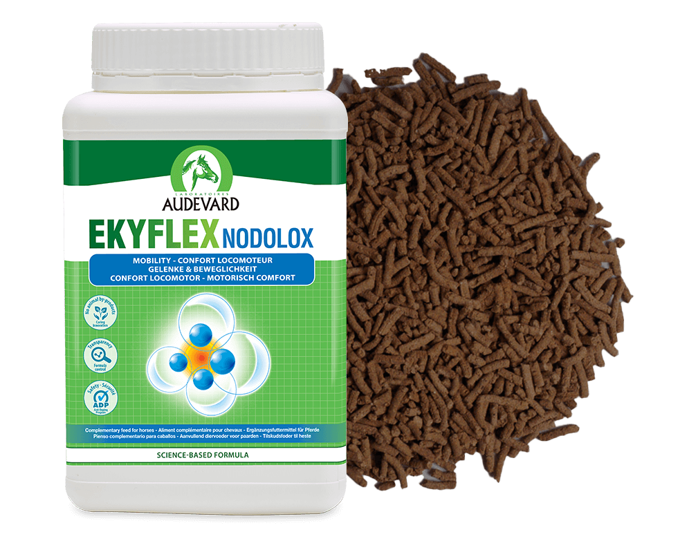 EKYFLEX NODOLOX