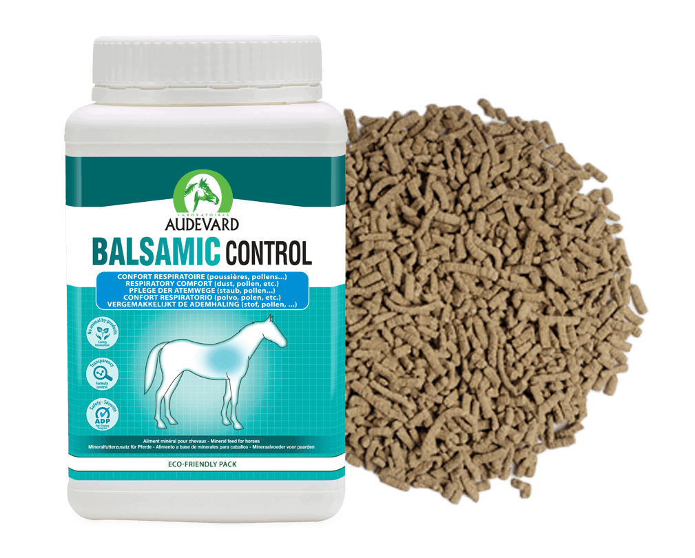 Akční balíček Balsamic Air 1L + Balsamic Control 1kg