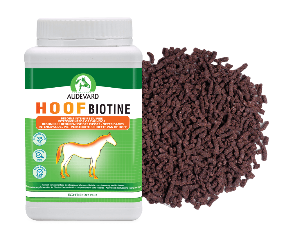 HOOF BIOTINE