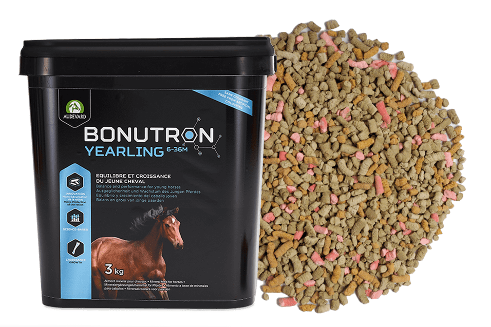 Bonutron Yearling 3-36m