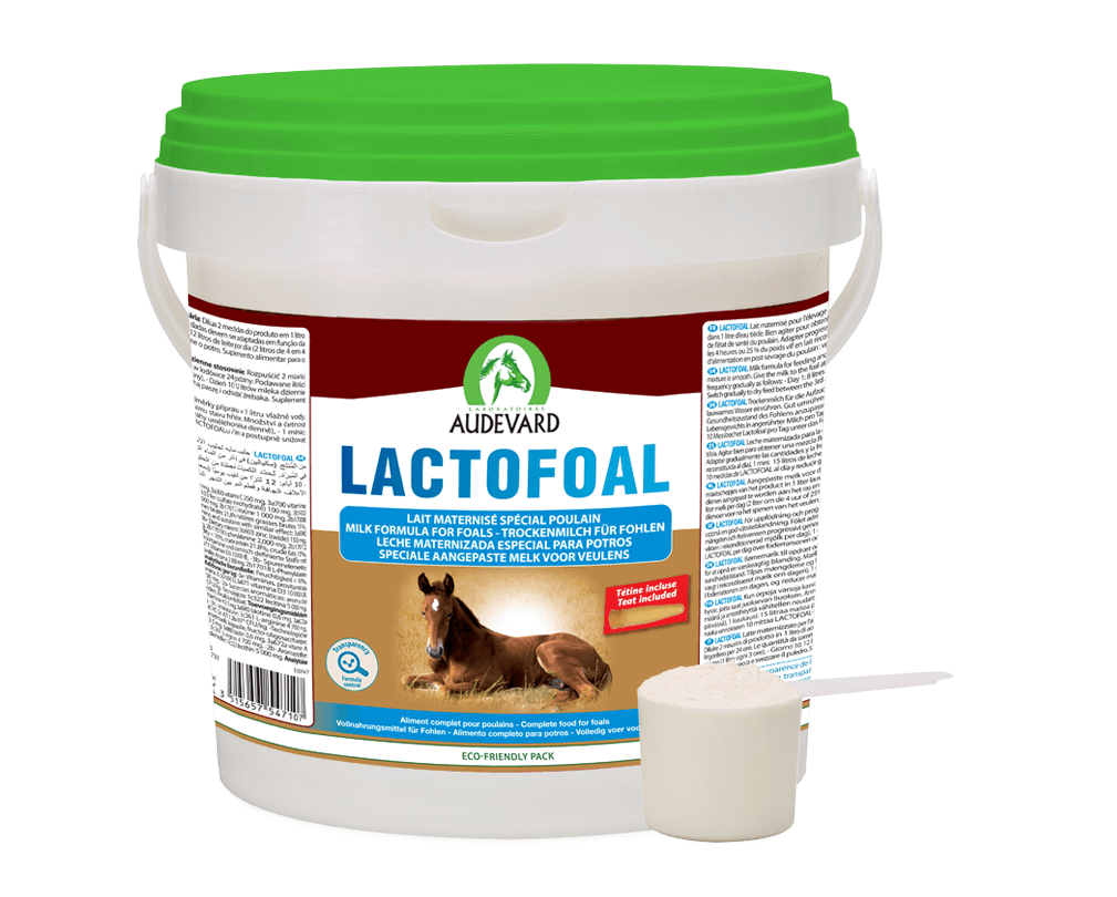 LACTOFOAL