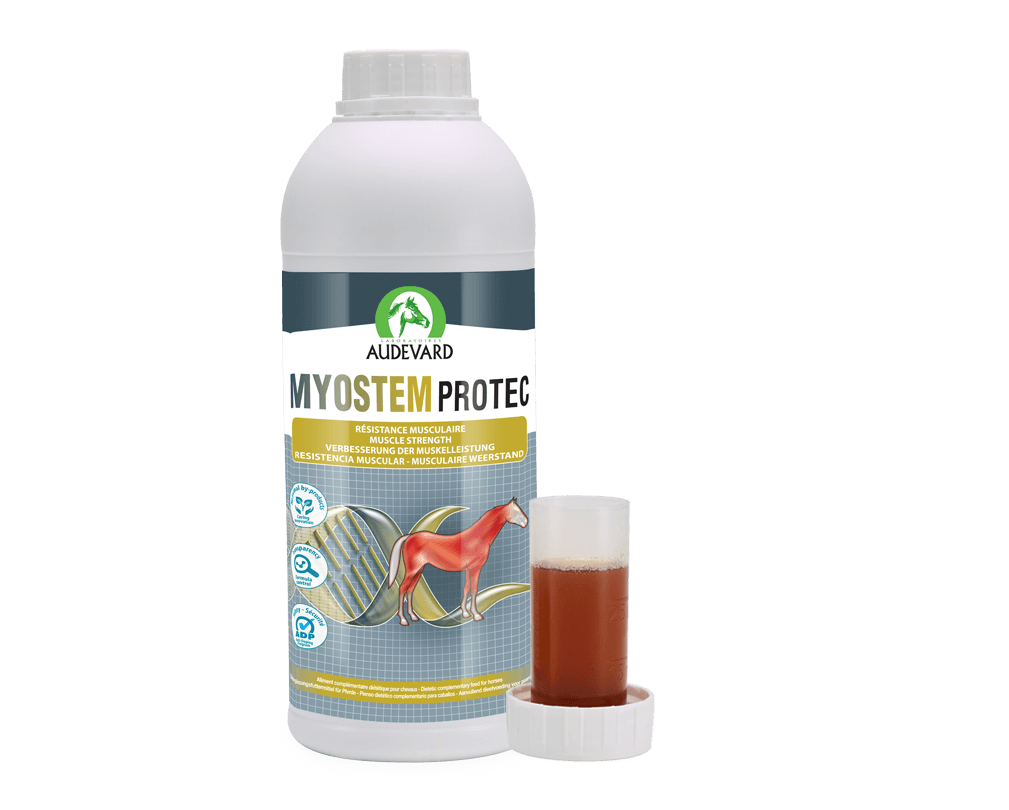 MYOSTEM PROTEC