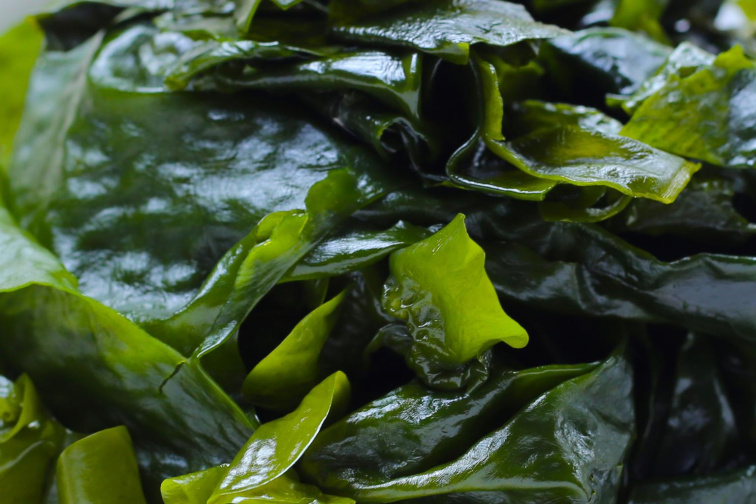 Shampoo Hydrate 300 Ml Kubo