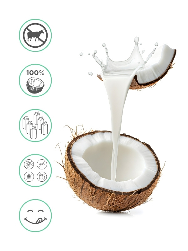 Kokosové mléko v prášku, 300 g