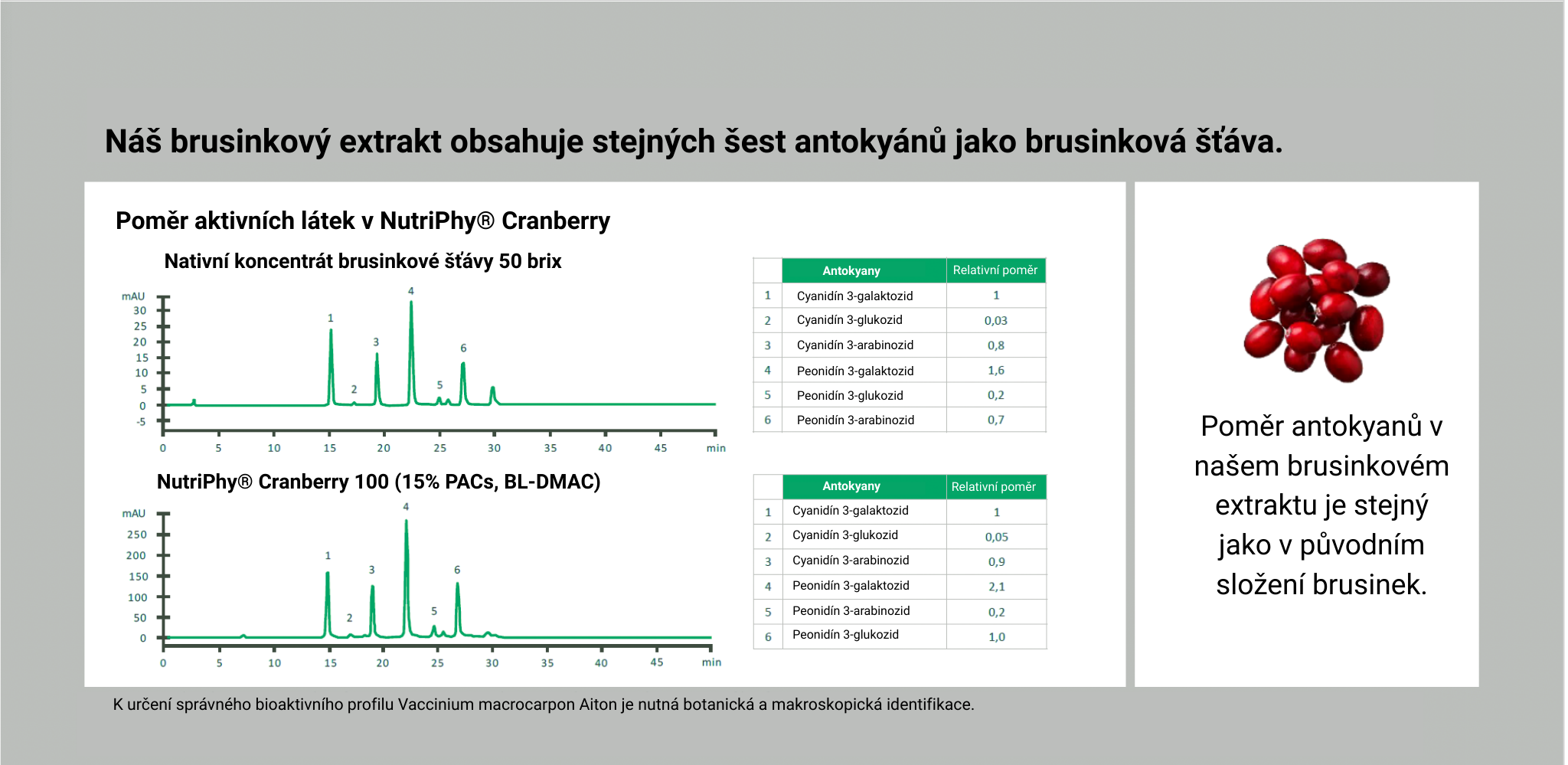 UroFemina pro močové cesty