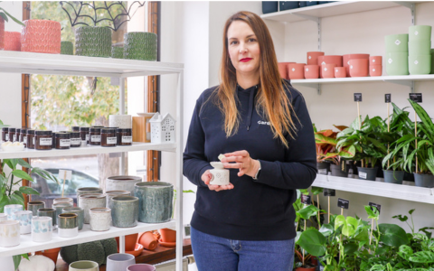 O PRODUKTECH - Araukárie: pokojová jedle z dávných časů, která oživí váš interiér