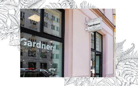 O GARDNERS - Časová osa - Příběh naší džungle