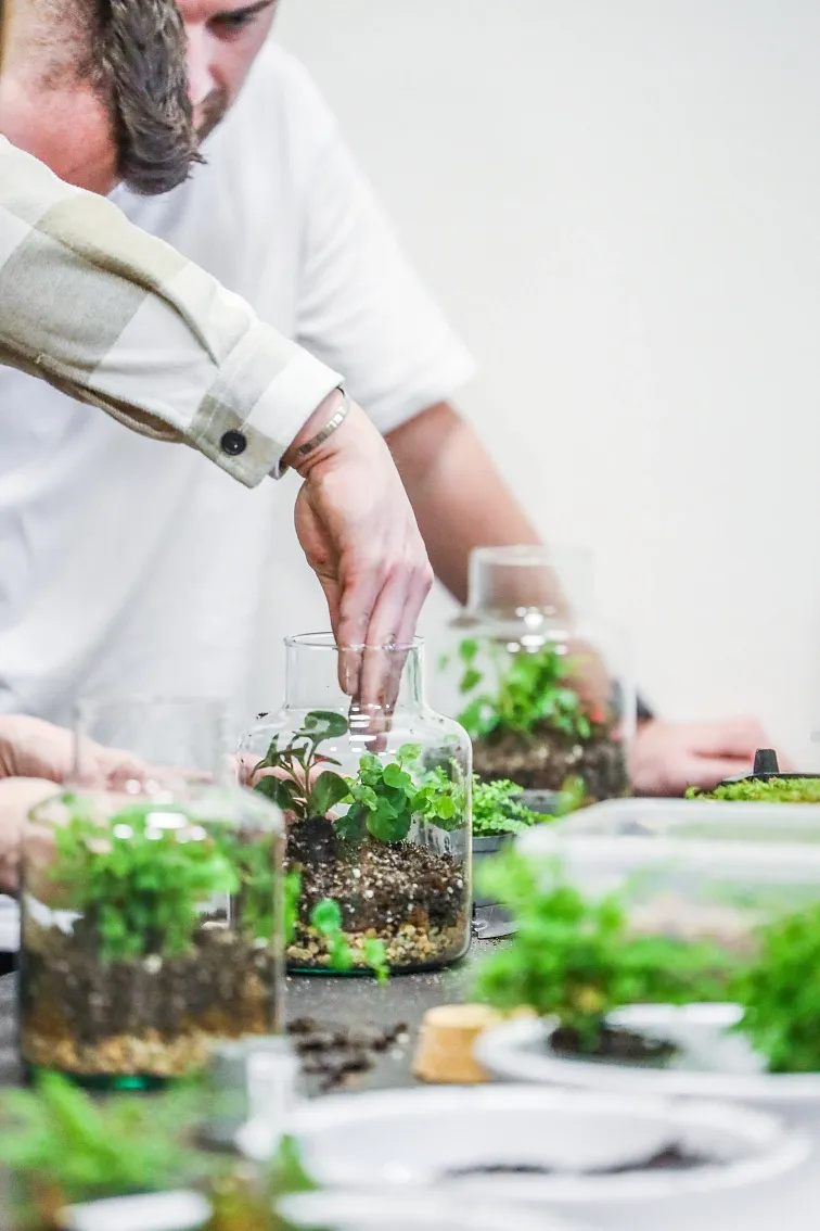 Workshop – Jak si osázet terárium (flexibilní termín)