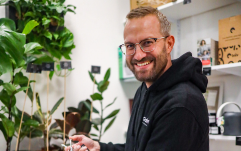 O PRODUKTECH - Palačinková květina neboli Pilea peperomioides