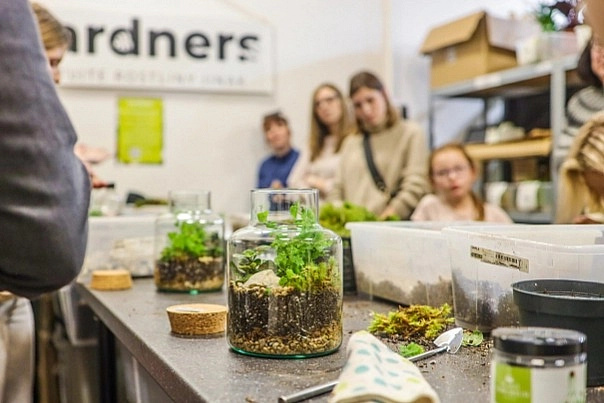 Workshop – Jak si osázet terárium (flexibilní termín)
