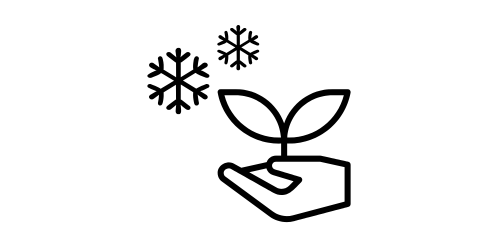 5 pokojovek, které okamžitě zlepší vzduch doma