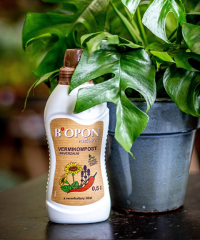 BLOG - Jak pečovat o rostliny na jaře - nový