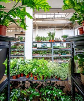 KONTAKTY - Hlavní sklad a kanceláře