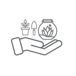 O PRODUKTECH - Chamaedorea elegans: nenáročná pokojová palma do každého interiéru