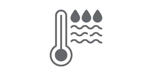 5 pokojovek, které okamžitě zlepší vzduch doma