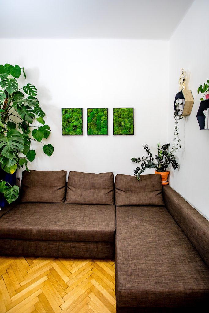 Workshop - Vyrobte si svůj mechový obraz