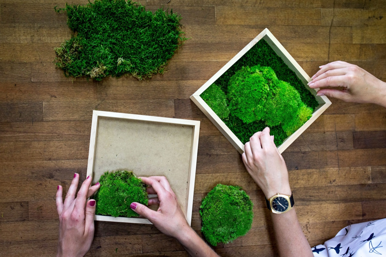 Miluj zeleně: Daruj radost, která vydrží