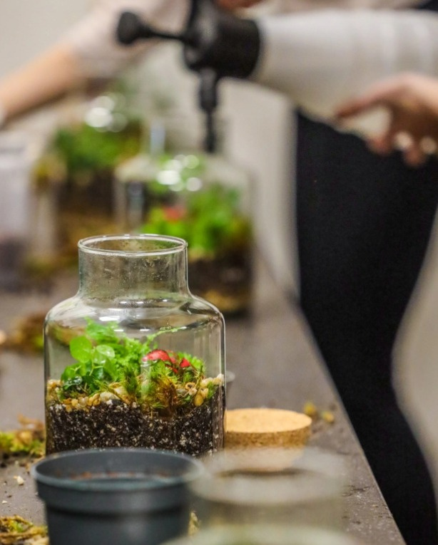 Workshop – Jak si osázet terárium