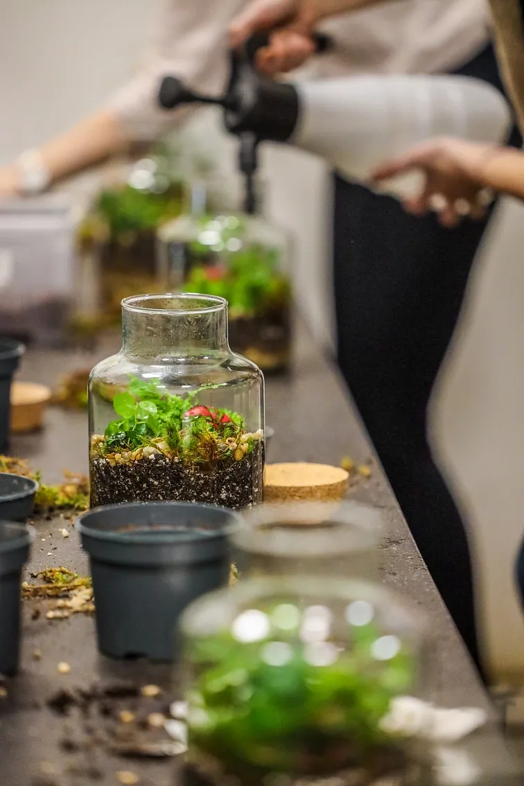 Workshop – Jak si osázet terárium (flexibilní termín)