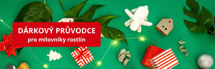 VÁNOCE - Firemní dárky a dárkové balení