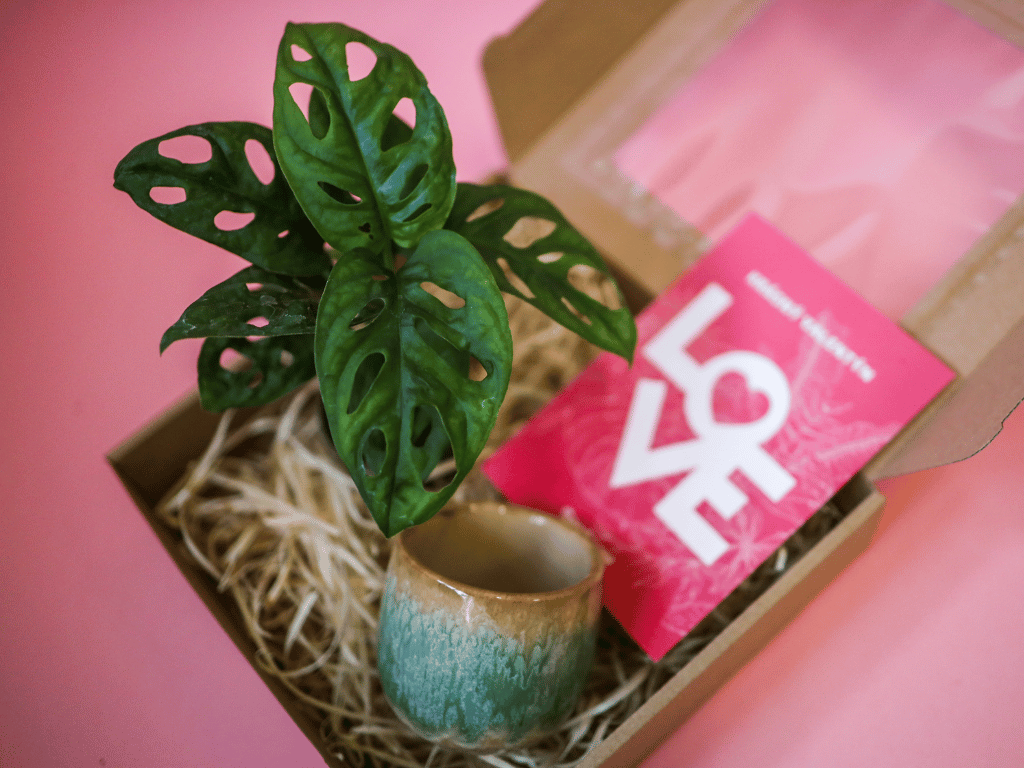 Miluj zeleně: Daruj radost, která vydrží