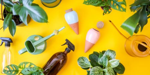 JARO: Probuďte svou džungli _ nový