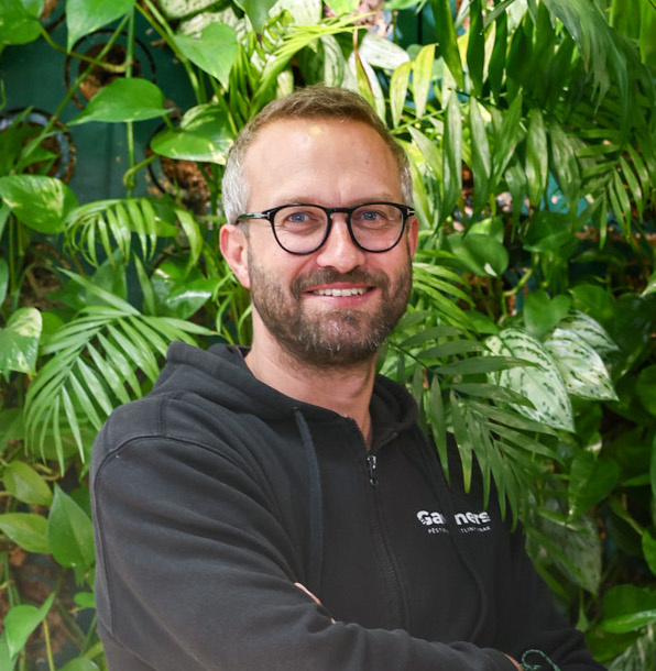 Miluj zeleně: Daruj radost, která vydrží