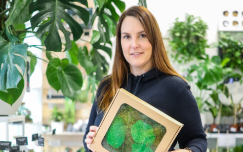 O PRODUKTECH - Chamaedorea elegans: nenáročná pokojová palma do každého interiéru