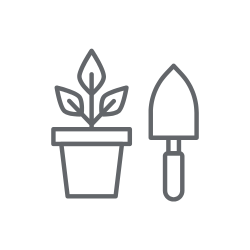 O PRODUKTECH Fittonia – pestrobarevná pokojová rostlina do terárií i na parapet