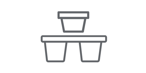 Přesazování pokojových rostlin - nový