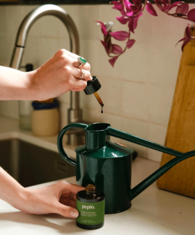 JARO: Probuďte svou džungli _ nový