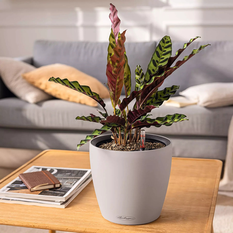 Samozavlažovací květináč Classico Color ECO, průměr 35 cm, šedá