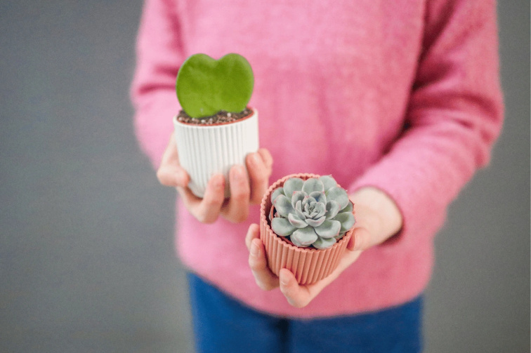 Blog - Valentýnské dárky z Gardners