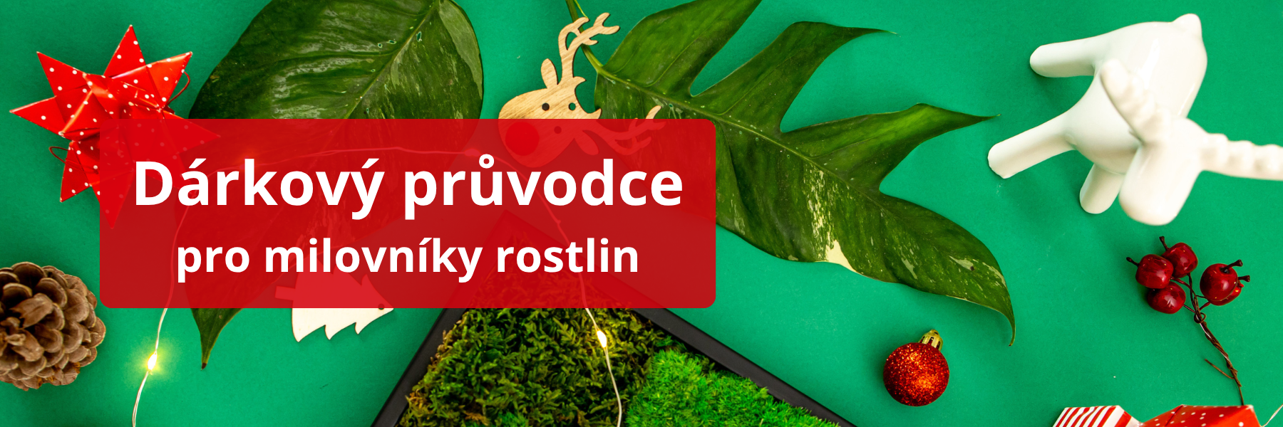 VÁNOCE - pro nedočkavé