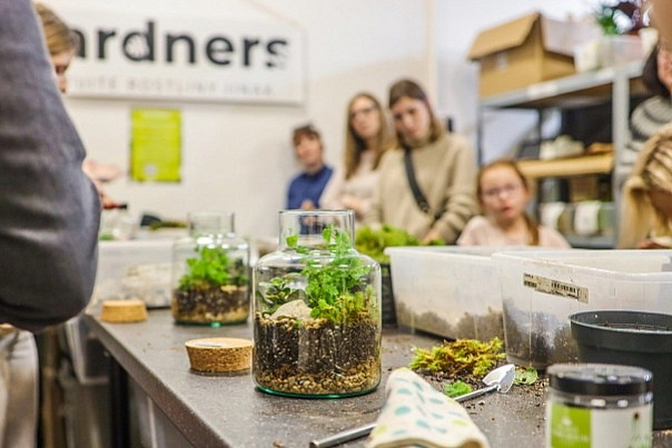 Workshop – Jak si osázet terárium