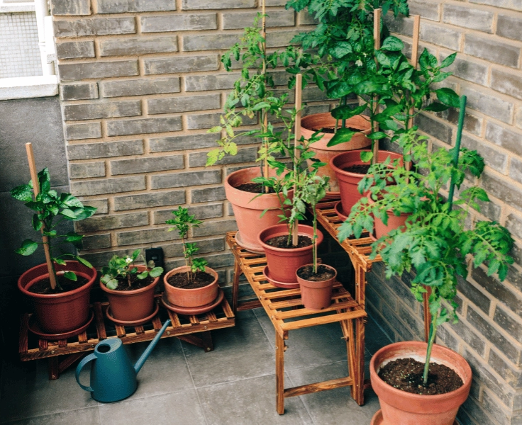 BLOG: Balkon a terasa: jak vytvořit zelenou oázu i na malém prostoru