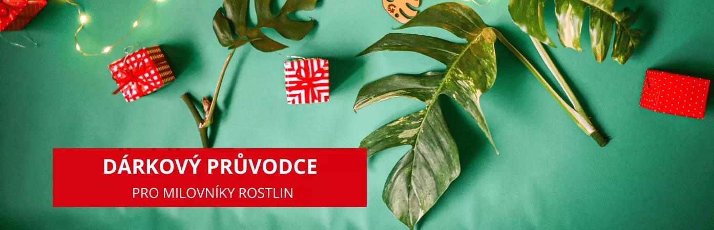 VÁNOCE - Největší hity Vánoc (bestsellery)