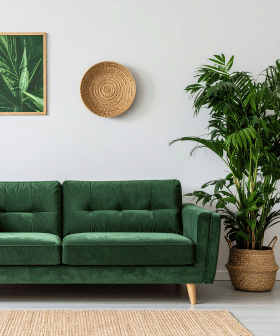 Zelený restar: verze MM