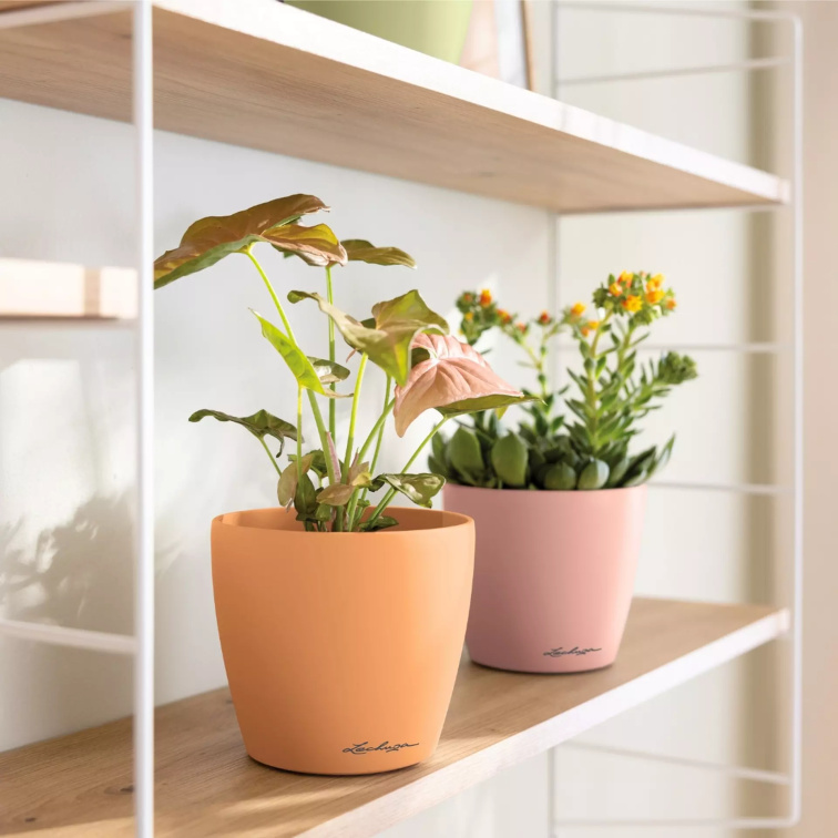 Obal Classico Color Deco, průměr 12 cm, světle růžová (magnolia)