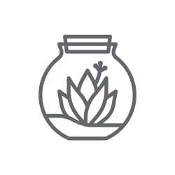 O PRODUKTECH Fittonia – pestrobarevná pokojová rostlina do terárií i na parapet