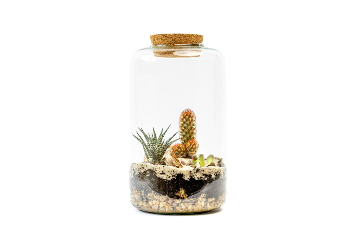 Skleněná dóza KERRIA s korkovým špuntem, 31,5x25 cm - osázené suchomilné