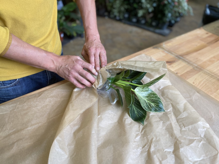 O GARDNERS - Doprava a platba