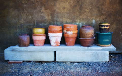 Přesazování pokojových rostlin - nový