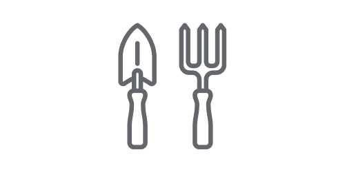 Přesazování pokojových rostlin - nový