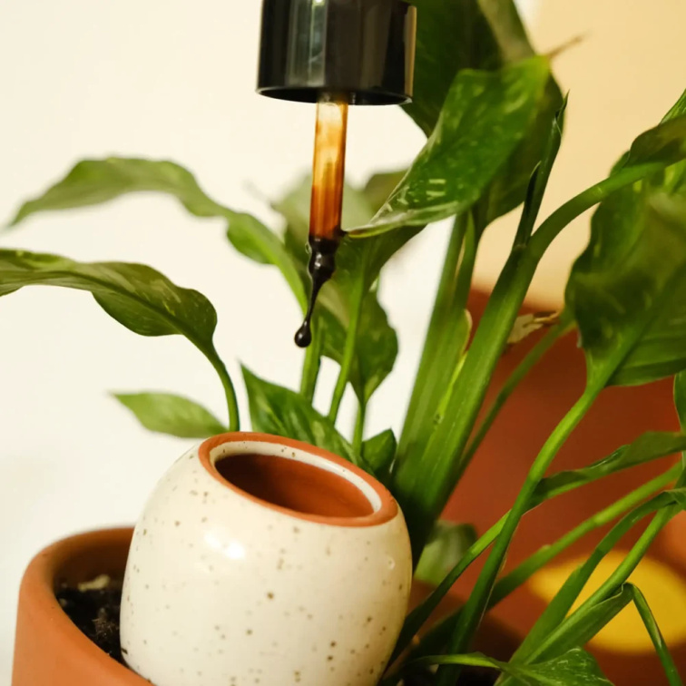 Organické hnojivo Plant food pro orchideje 60 ml