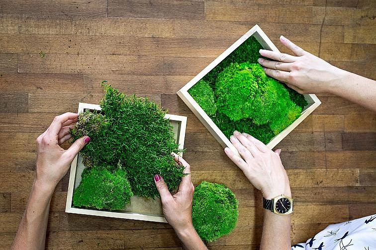 Workshop - Vyrobte si svůj mechový obraz (flexibilní termín)