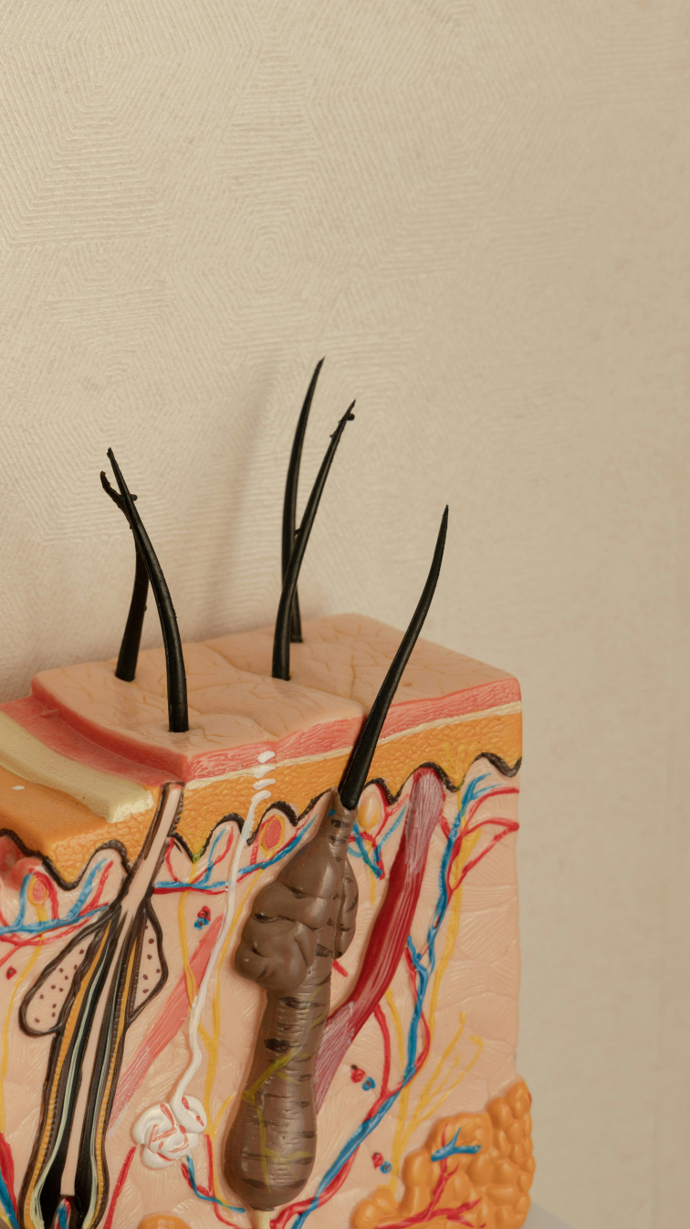 Přírodní deodoranty: jak fungují a proč respektují přirozené procesy pokožky