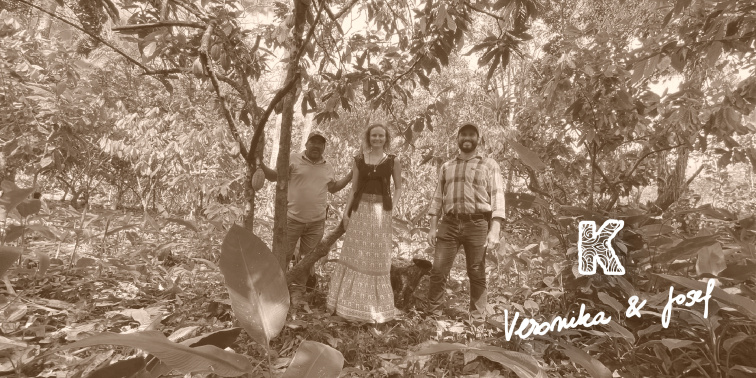 Ceremoniální kakao: jak na rituál, účinky i přípravu krok za krokem